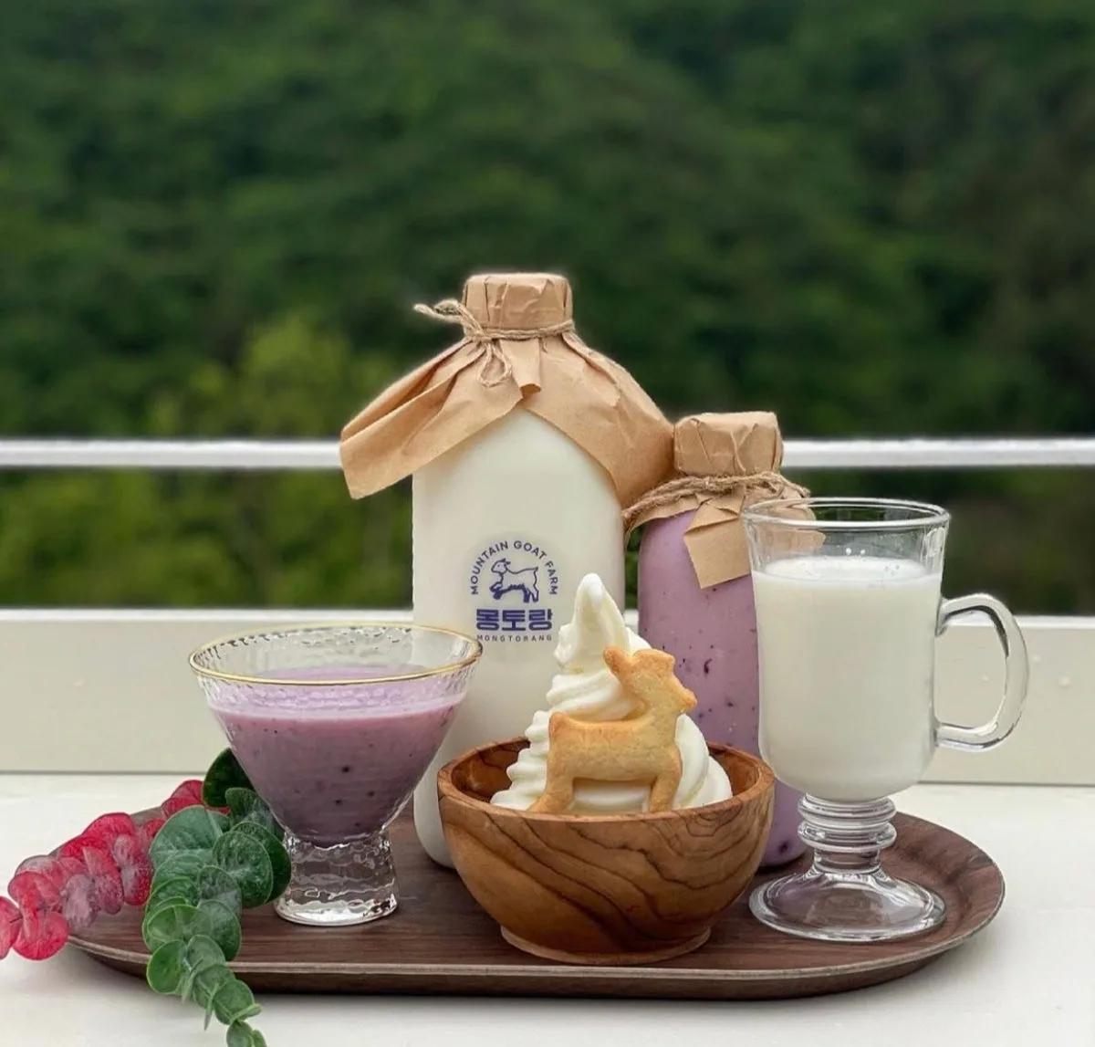 몽토랑산양목장&뷰카페 대표 사진