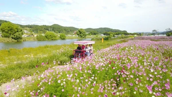 진위천유원지, photo 5