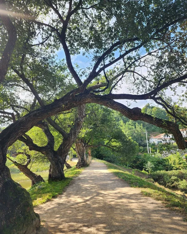 Bangokji, photo 4