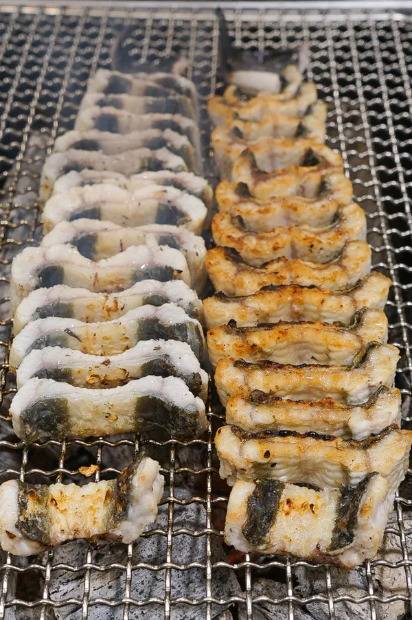 머슬장어 사진 2