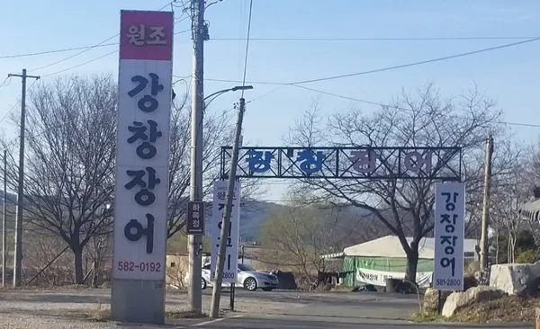 강창장어 사진 3