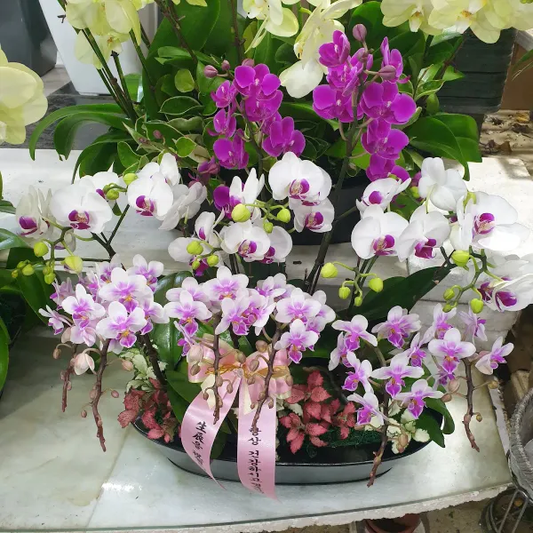 양희원예 사진 2