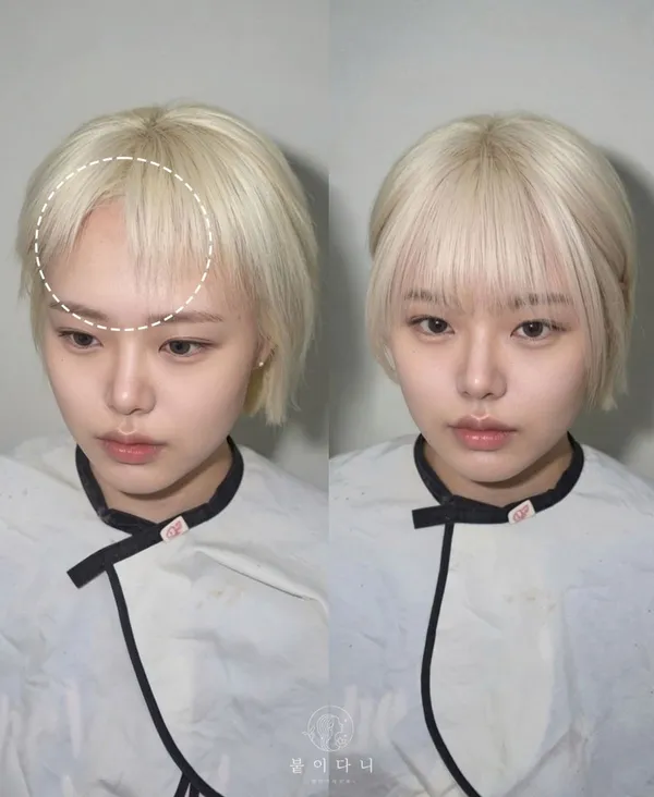 붙이다니 붙임머리 사진 3