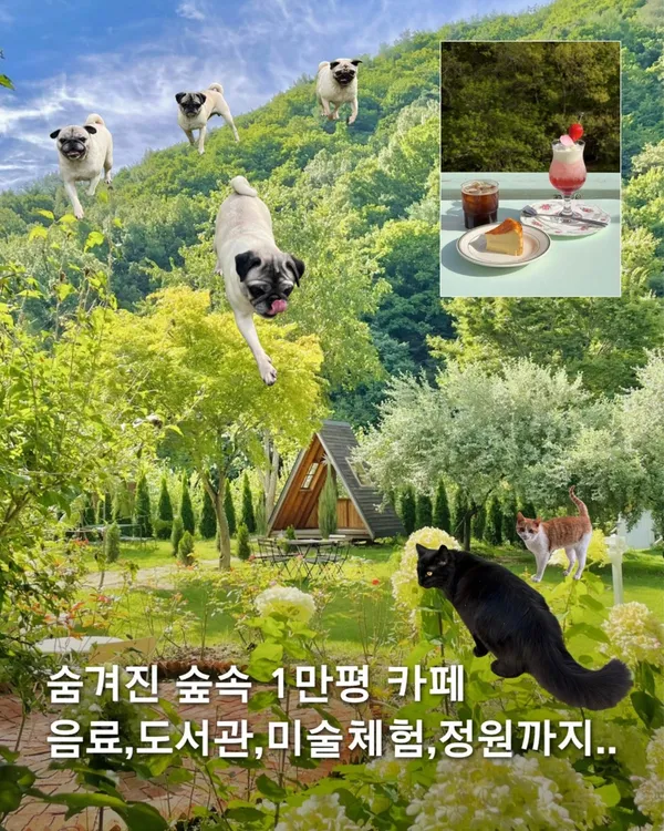リベボルの写真5