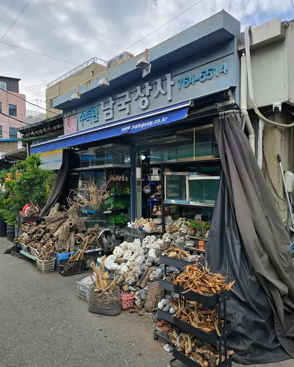 청계천수족관거리 사진 2