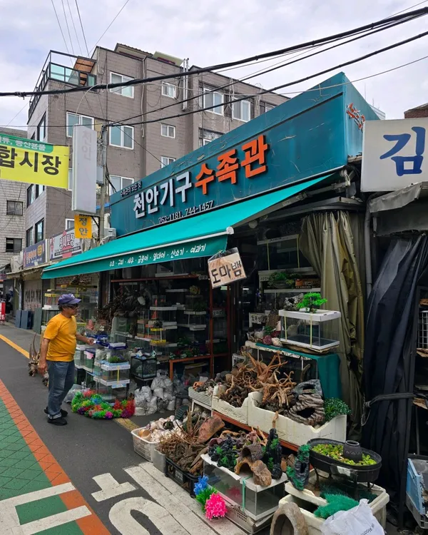 청계천수족관거리 사진 3
