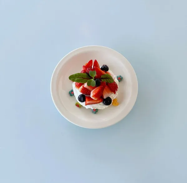 캥거루 사진 4