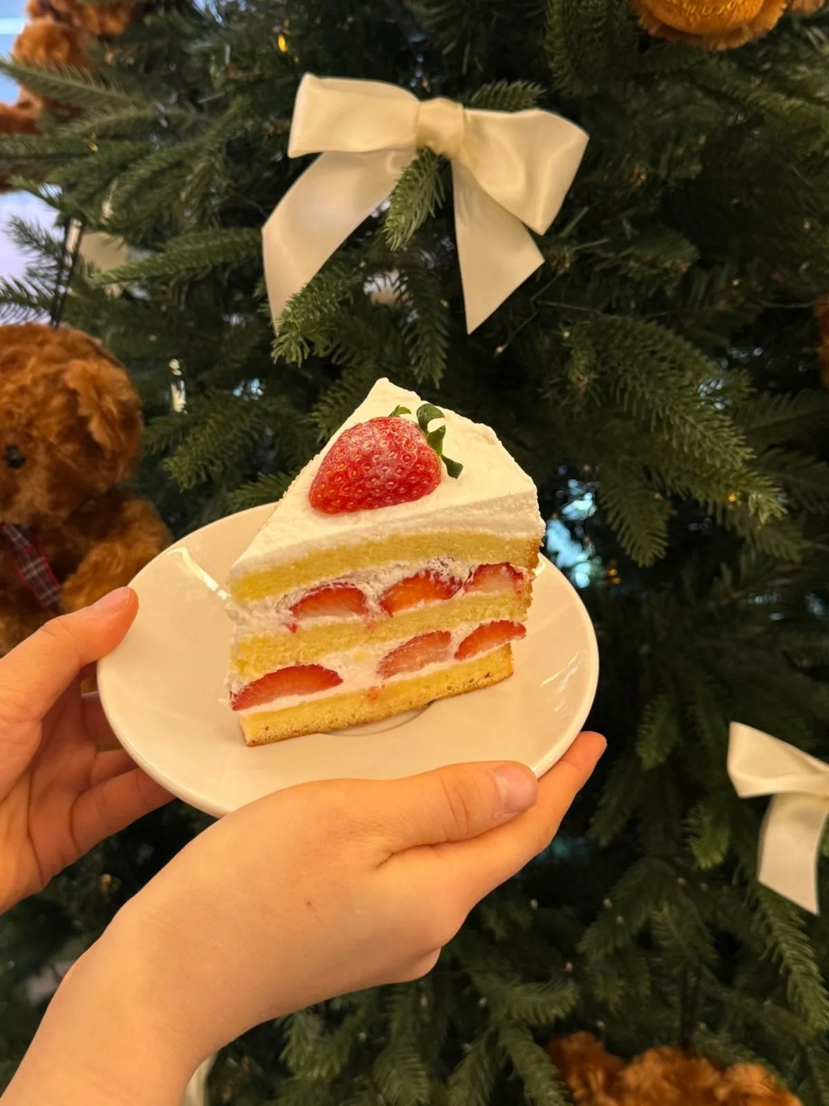 ミルダムのメイン写真