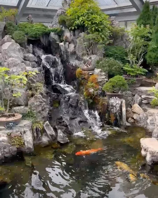 ヤングスモクウォン