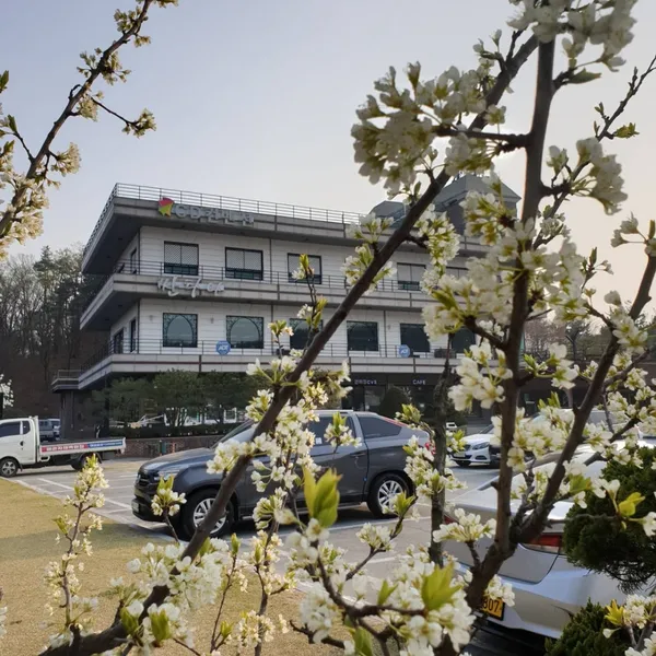 창진산장휴게소 사진 3