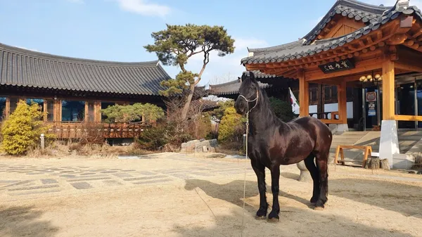 너른마당 사진 2