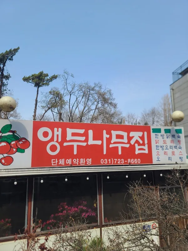 앵두나무집 사진 2