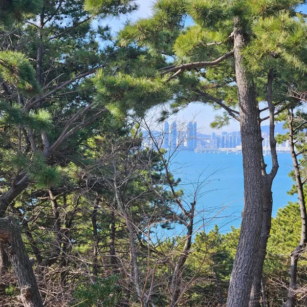 해월정 사진 2