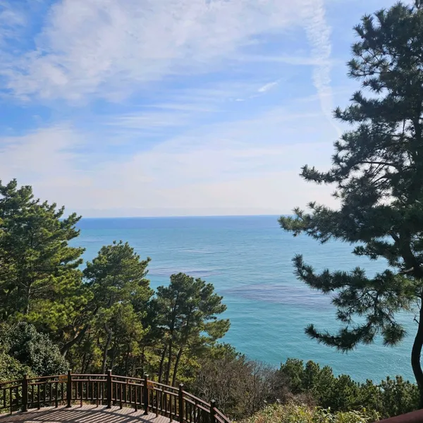 해월정