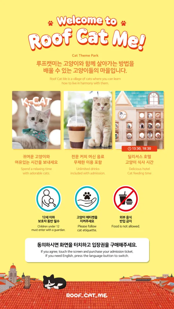 루프캣미 고양이카페 명동점 사진 3