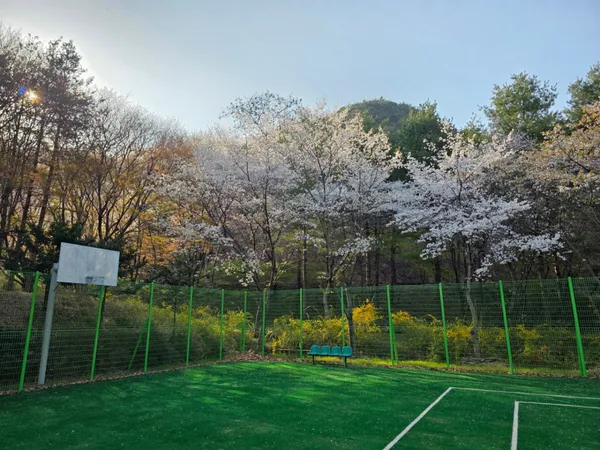 コサン自然休養林の写真2