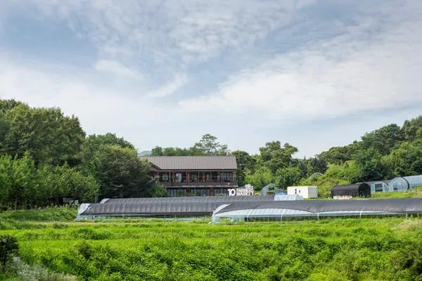 충주 가볼 만한 곳 15곳