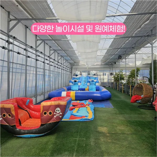 미스터허브식물공방 사진 3