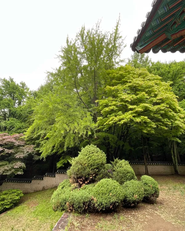 관악산도시자연공원 사진 4