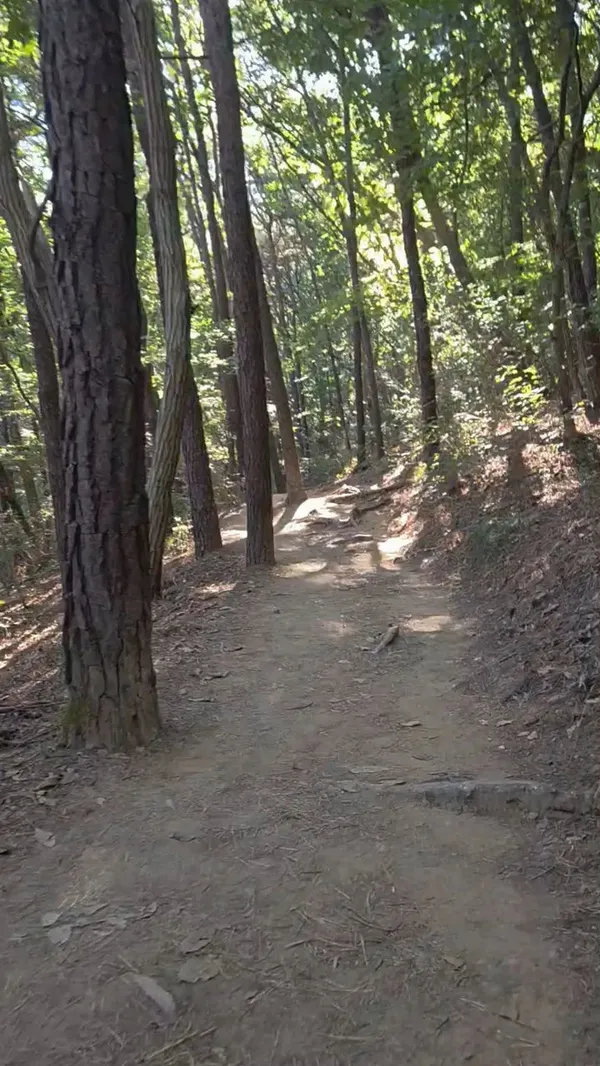 심학산 사진 5