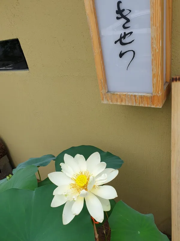 키세츠스시 사진 5