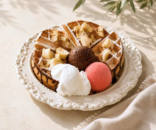카몽 사진 3