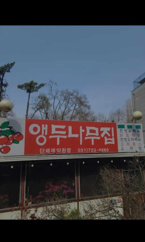 앵두나무집 사진 3