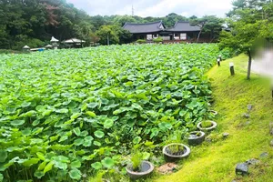 너른마당