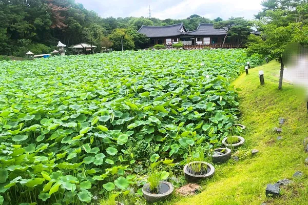 너른마당
