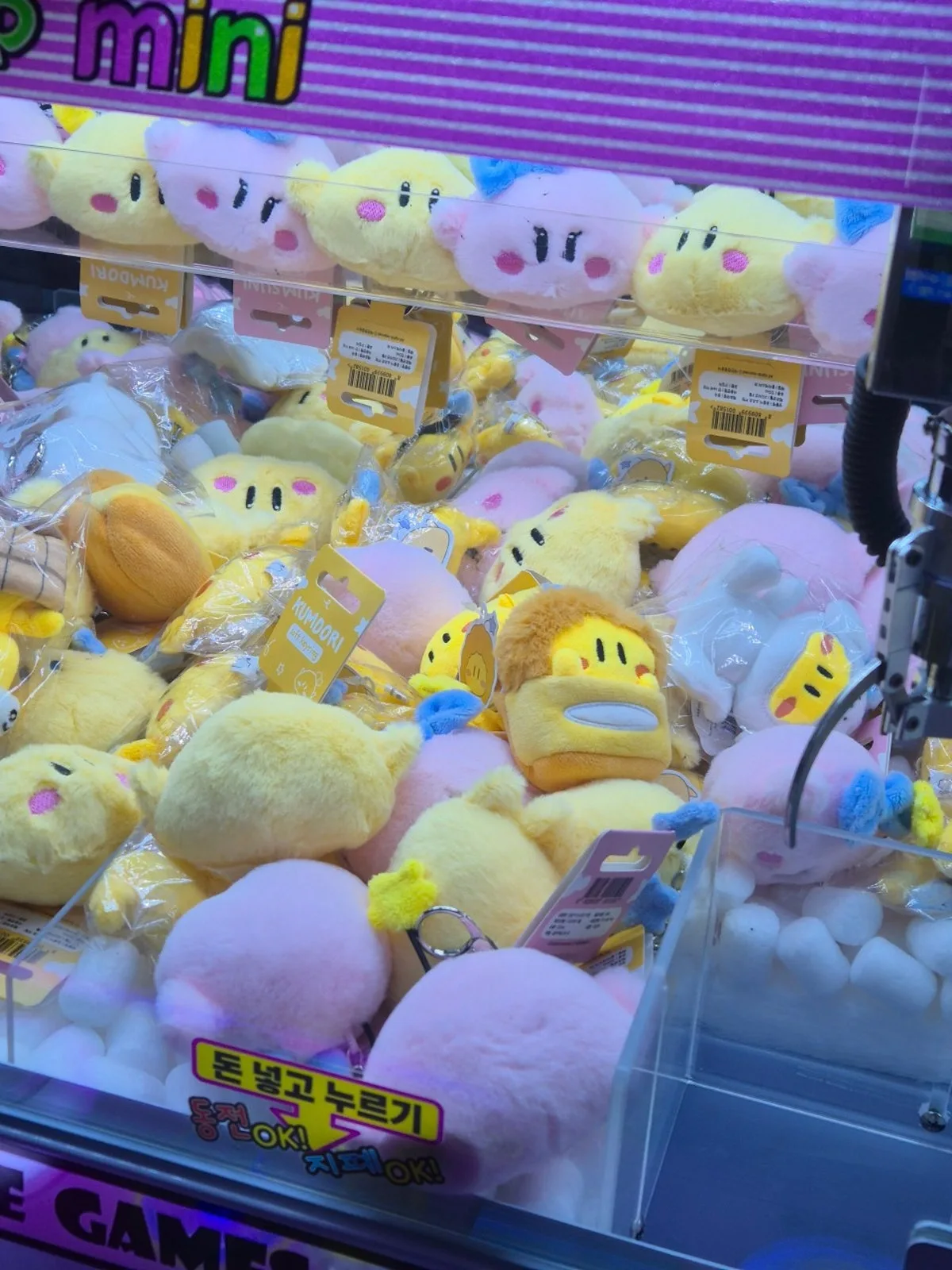 꿈사탕 대표 사진
