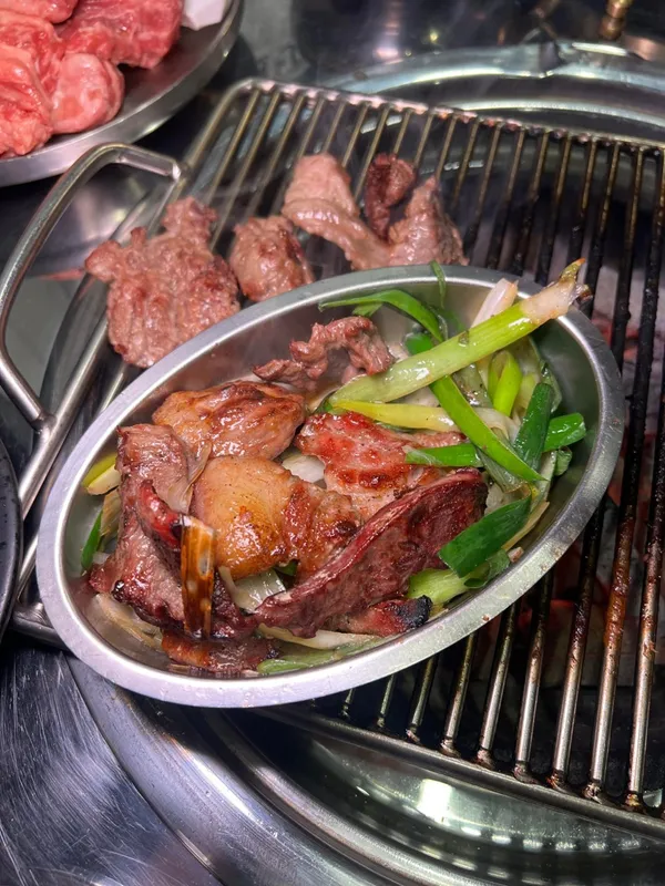 부속갈매기