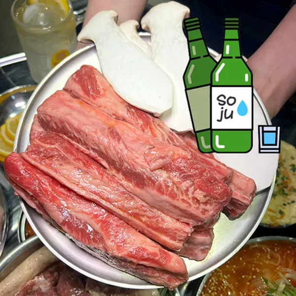 부속갈매기 사진 3