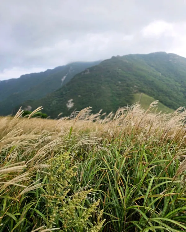 간월산 사진 3