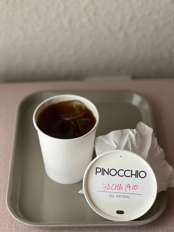 피노키오 사진 3
