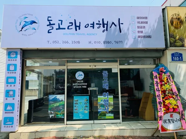 돌고래여행사 사진 2