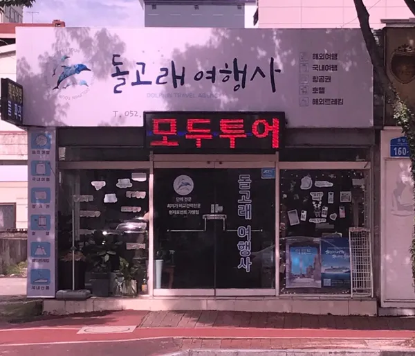돌고래여행사 사진 3