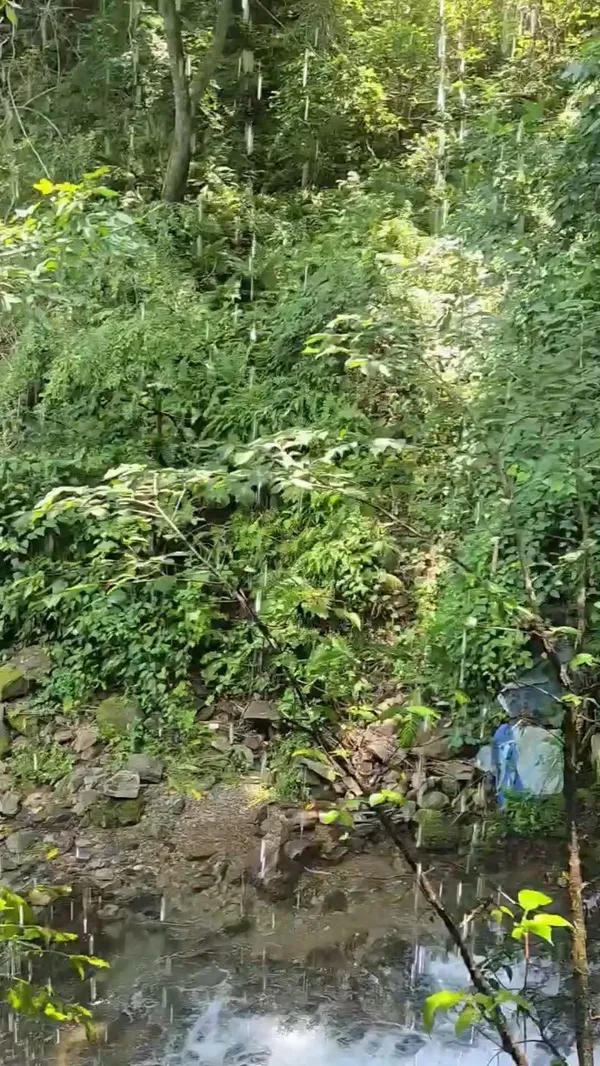풀장횟집 사진 4