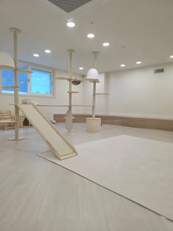 놀면묘하냥 은평점 사진 4