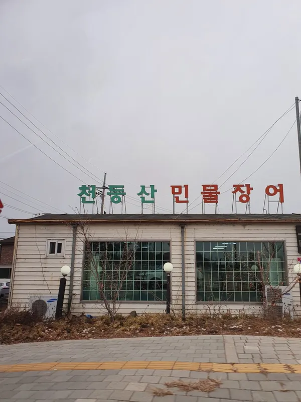 천둥산민물장어 사진 3