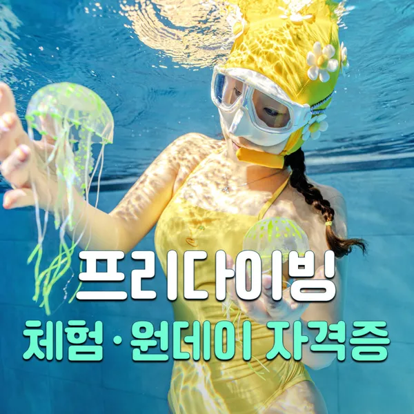 월드컵스킨스쿠버다이빙풀 사진 3