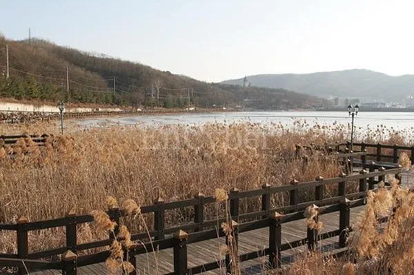 율동공원 사진 4