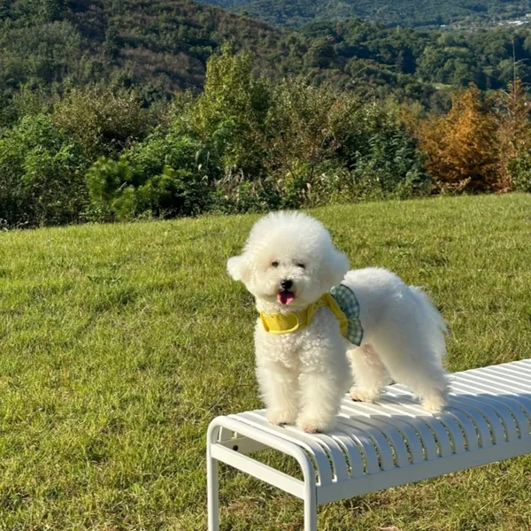 카페 먹 사진 2