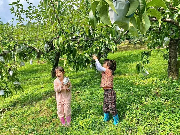 쇠꼴마을 사진 3