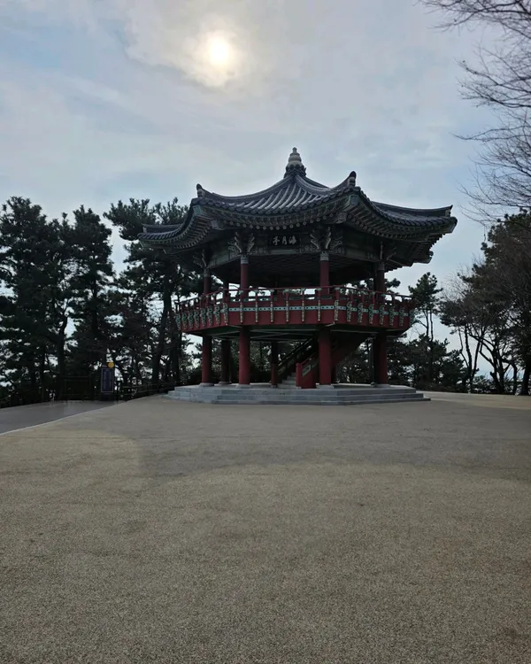 달맞이동산