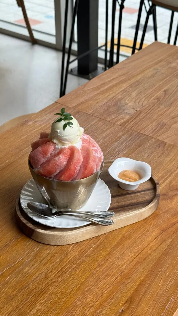 정드리 사진 2