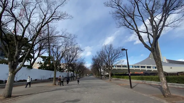 Yoyogi Park Zelkova Avenueの写真4