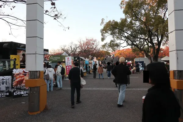 Yoyogi Park Zelkova Avenueの写真5