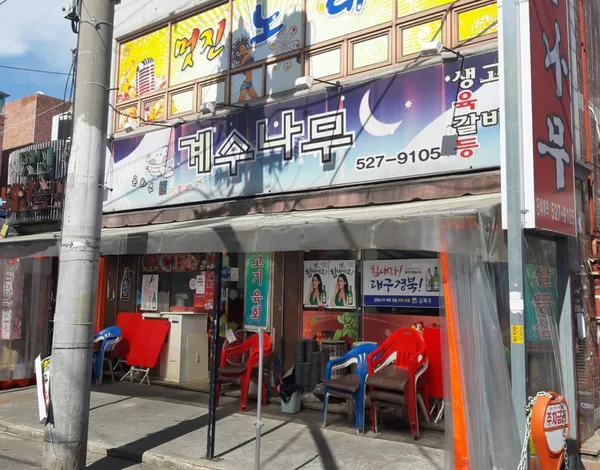 계수나무 사진 2