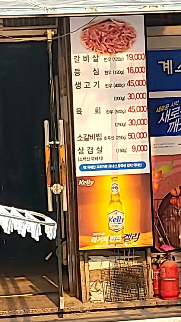 계수나무 사진 4