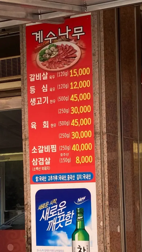 계수나무 사진 5